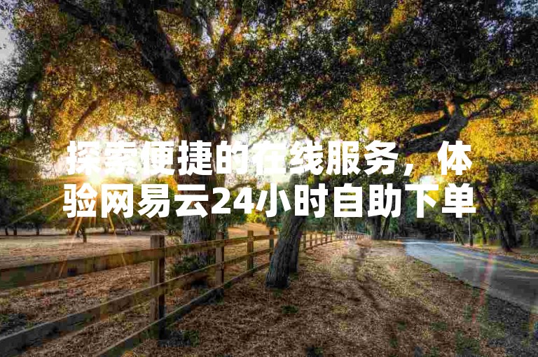 探索便捷的在线服务，体验网易云24小时自助下单商城的高效，享受抖音平台不间断的自助服务，参与拼多多现金大转盘的激动人心活动，以及在QQ赞资料购买中提升你的社交影响力。