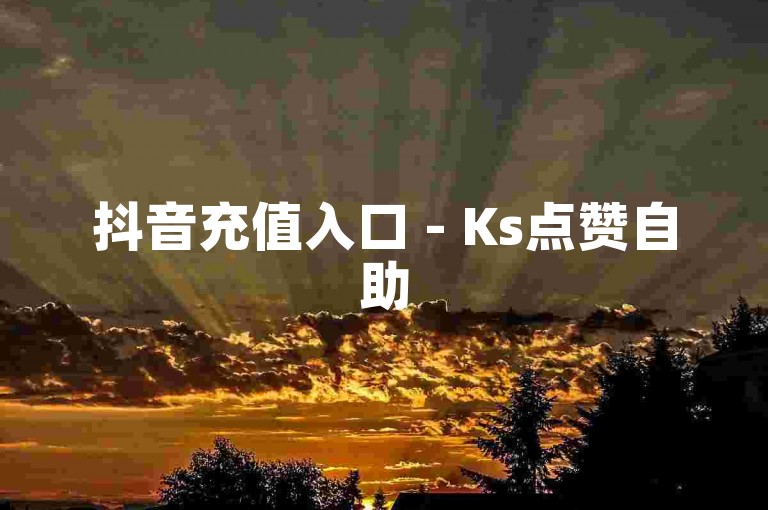 抖音充值入口 - Ks点赞自助