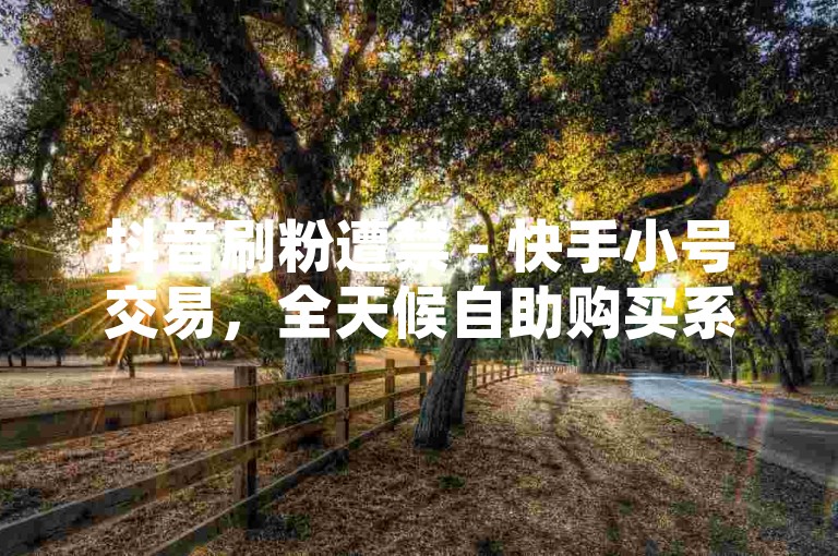 抖音刷粉遭禁 - 快手小号交易，全天候自助购买系统。