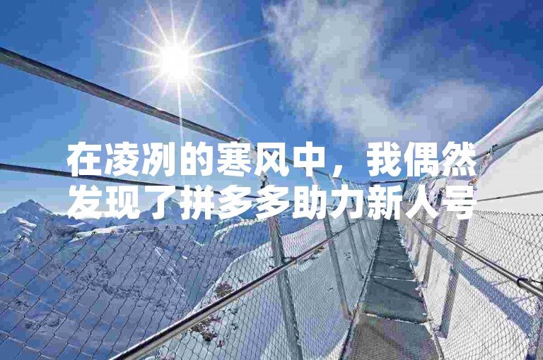在凌冽的寒风中，我偶然发现了拼多多助力新人号，这是一个专注于拼夕夕砍价活动的网站。