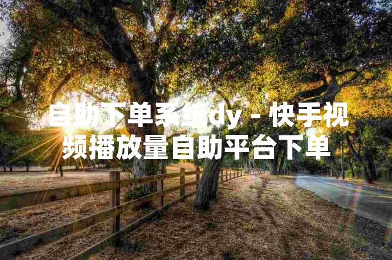 自助下单系统dy - 快手视频播放量自助平台下单