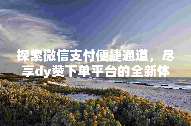 探索微信支付便捷通道，尽享dy赞下单平台的全新体验 - qq免费名片轻松领，ks自助下单全天候服务，抖音自定义评论业务揭秘新玩法。
