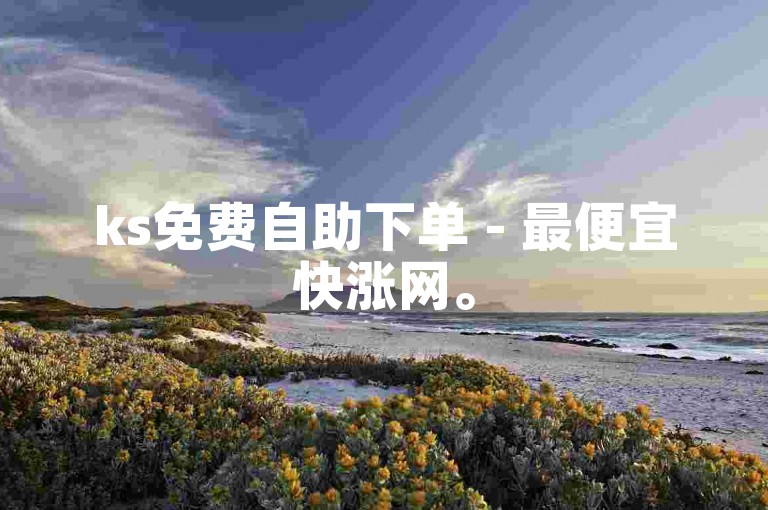 ks免费自助下单 - 最便宜快涨网。