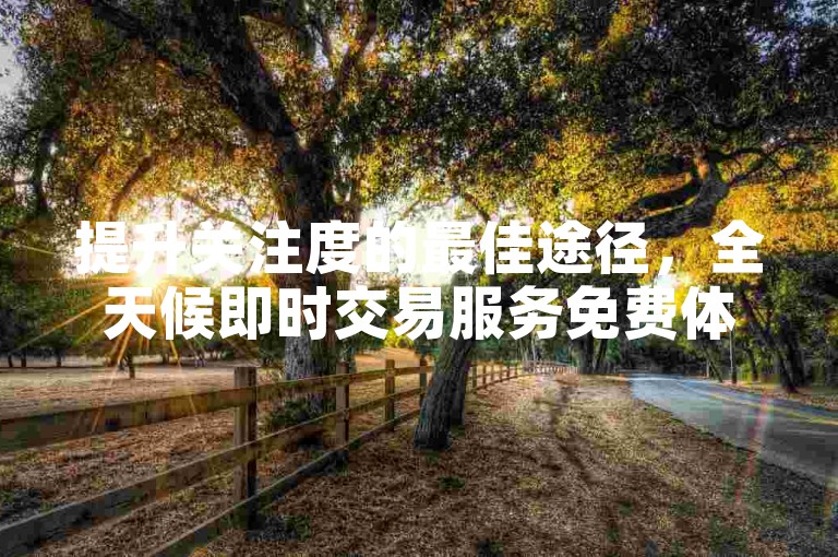 提升关注度的最佳途径，全天候即时交易服务免费体验。