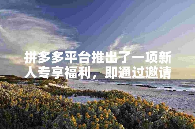 拼多多平台推出了一项新人专享福利，即通过邀请好友助力的方式，参与者有机会免费领取精美礼物。