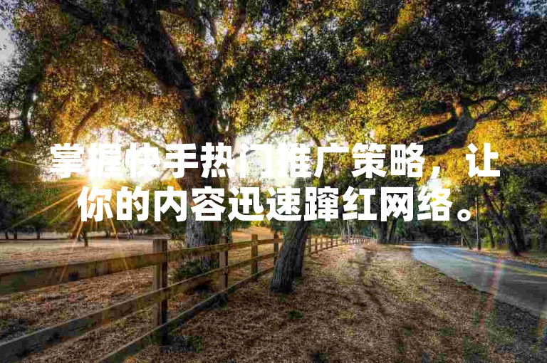 掌握快手热门推广策略，让你的内容迅速蹿红网络。