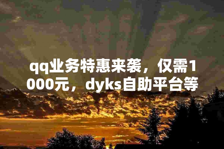 qq业务特惠来袭，仅需1000元，dyks自助平台等你来体验。