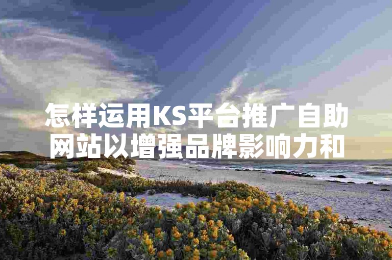 怎样运用KS平台推广自助网站以增强品牌影响力和增加网站访问量？