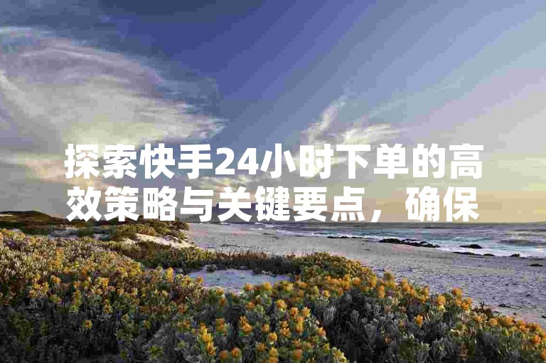 探索快手24小时下单的高效策略与关键要点，确保您的自助下单体验顺畅无阻。