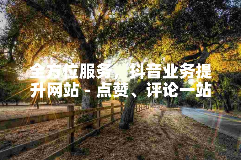 全方位服务，抖音业务提升网站 - 点赞、评论一站式自助平台。