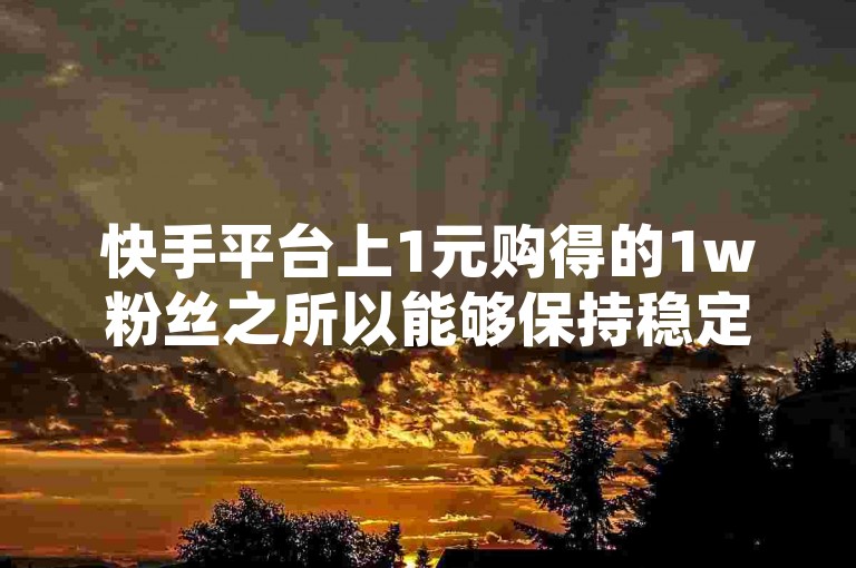 快手平台上1元购得的1w粉丝之所以能够保持稳定，是因为这些粉丝是通过平台官方活动或优惠策略获得的，具有高度的真实性和活跃度。