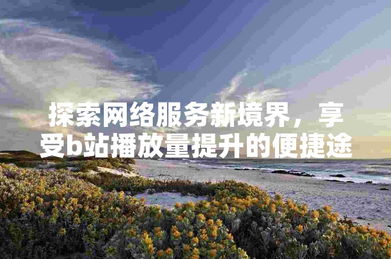 探索网络服务新境界，享受b站播放量提升的便捷途径。