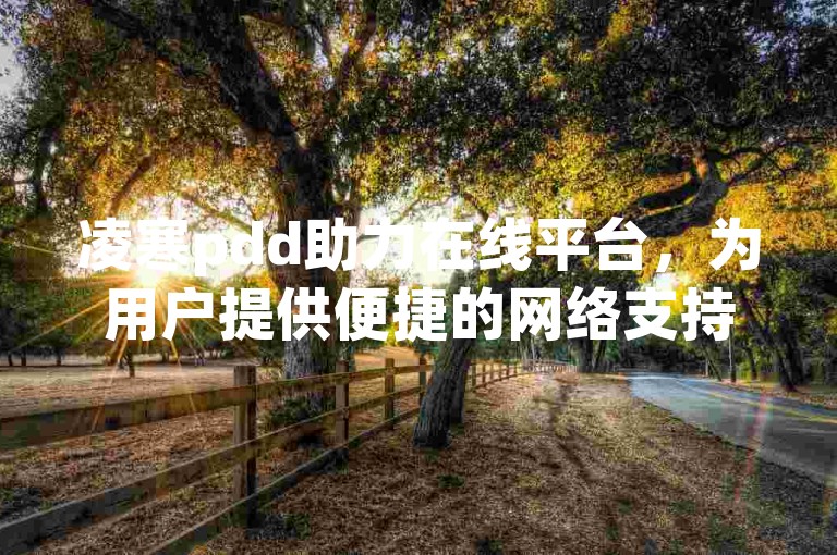 凌寒pdd助力在线平台，为用户提供便捷的网络支持服务。