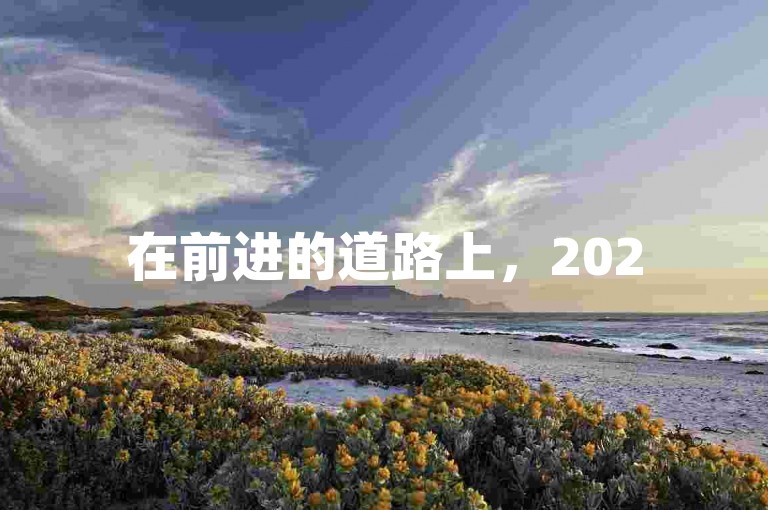 在前进的道路上，2025年将成为多多助力网站创新与成长的关键之年。