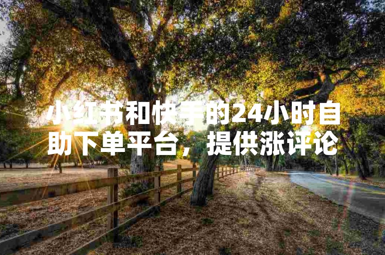 小红书和快手的24小时自助下单平台，提供涨评论和点赞服务。