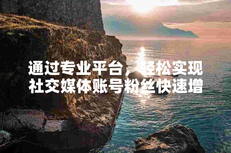 通过专业平台，轻松实现社交媒体账号粉丝快速增长和点赞量提升。