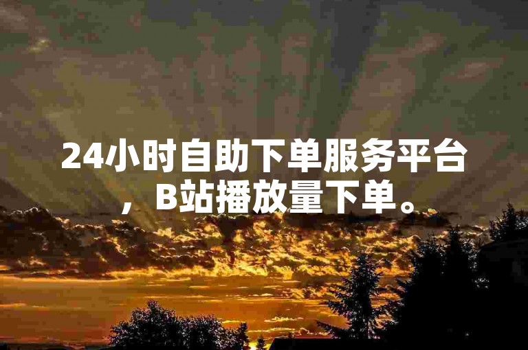 24小时自助下单服务平台，B站播放量下单。