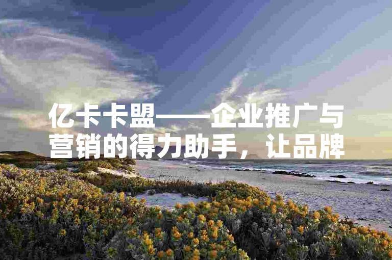 亿卡卡盟——企业推广与营销的得力助手，让品牌影响力迅速提升。