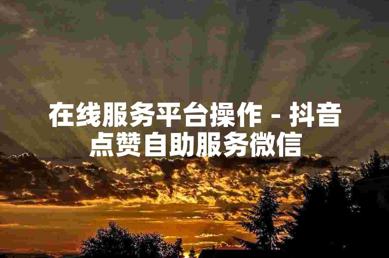 在线服务平台操作 - 抖音点赞自助服务微信