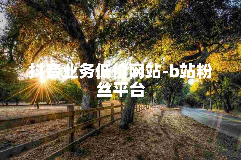 抖音业务低价网站-b站粉丝平台