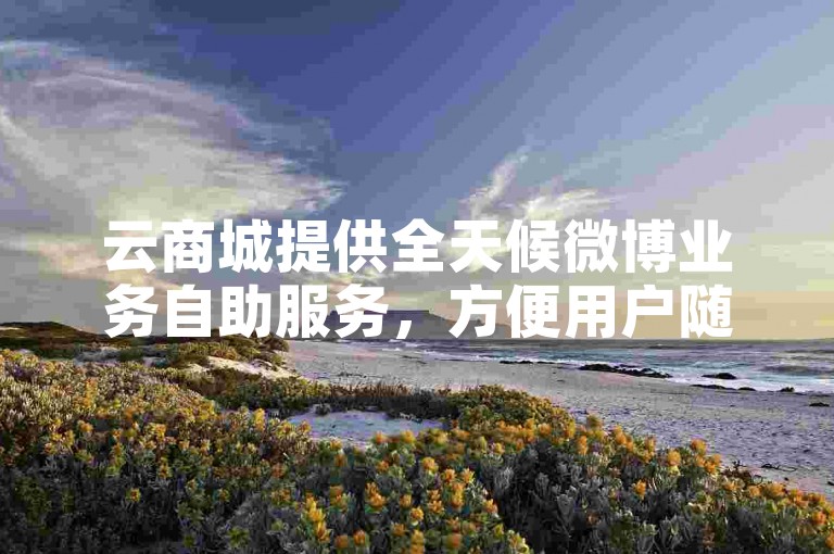 云商城提供全天候微博业务自助服务，方便用户随时在线下单。