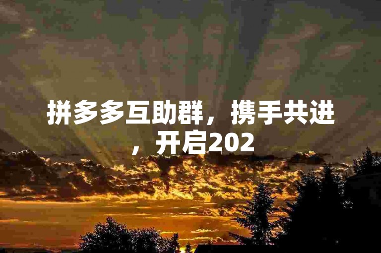 拼多多互助群，携手共进，开启2025年辉煌新篇章。