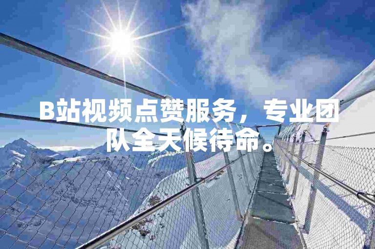 B站视频点赞服务，专业团队全天候待命。