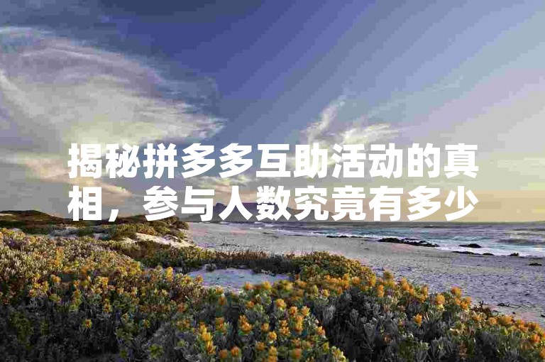 揭秘拼多多互助活动的真相，参与人数究竟有多少？