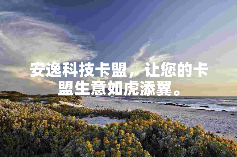 安逸科技卡盟，让您的卡盟生意如虎添翼。
