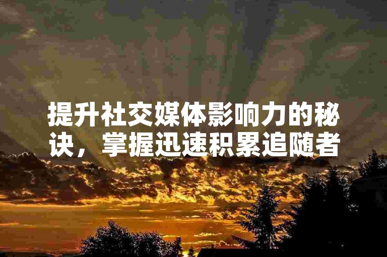 提升社交媒体影响力的秘诀，掌握迅速积累追随者的高效策略！2025必备技巧
