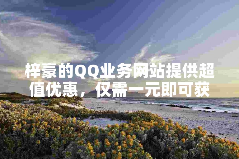 梓豪的QQ业务网站提供超值优惠，仅需一元即可获取多于一块硬币的价值 - 利用抖音推送流量工具，轻松实现快速增加粉丝数量。