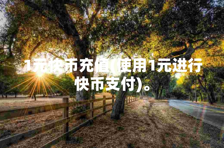 1元快币充值(使用1元进行快币支付)。