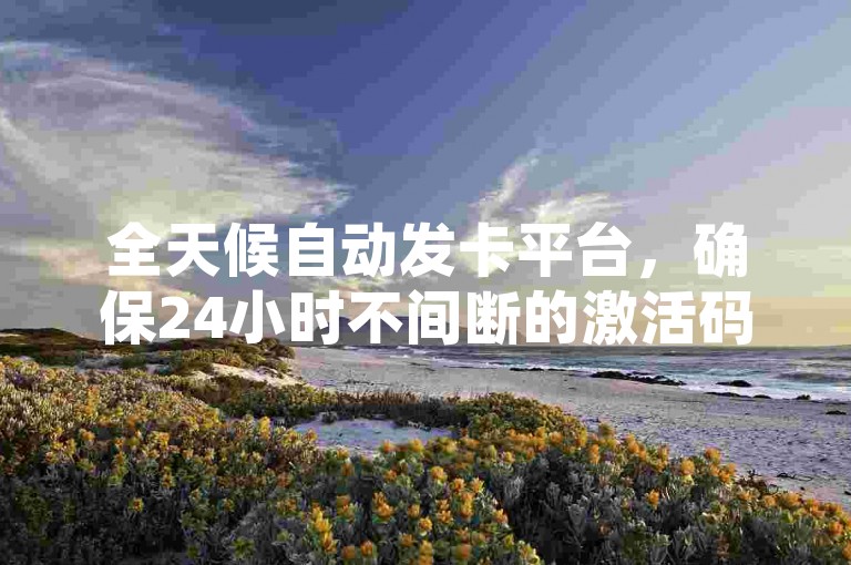 全天候自动发卡平台，确保24小时不间断的激活码供应。