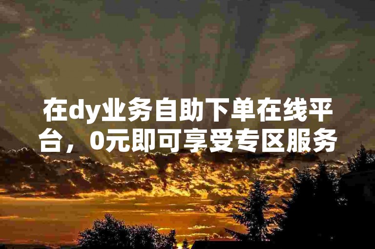 在dy业务自助下单在线平台，0元即可享受专区服务，自定义评论下单功能更是让人眼前一亮。