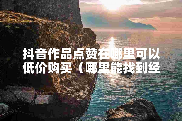 抖音作品点赞在哪里可以低价购买（哪里能找到经济实惠的抖音作品点赞服务？）