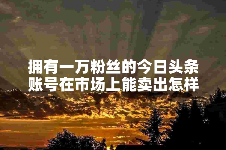 拥有一万粉丝的今日头条账号在市场上能卖出怎样的价格？