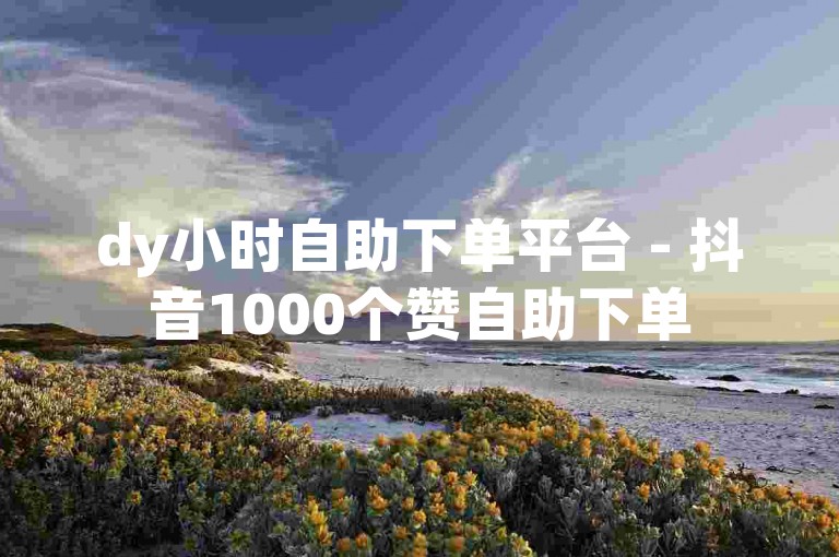 dy小时自助下单平台 - 抖音1000个赞自助下单