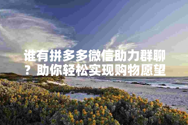 谁有拼多多微信助力群聊？助你轻松实现购物愿望。