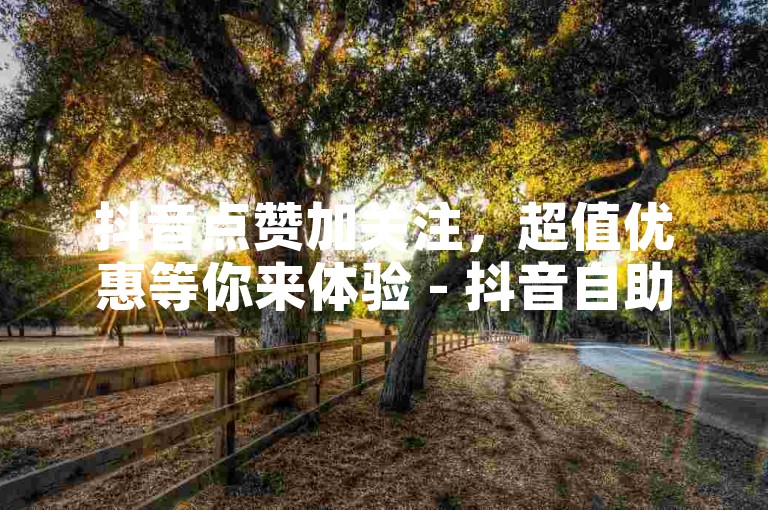 抖音点赞加关注，超值优惠等你来体验 - 抖音自助服务，高效提升影响力。