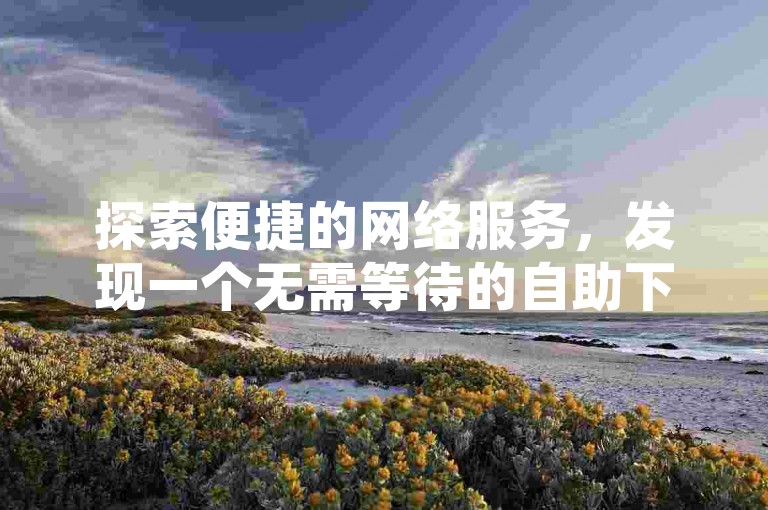 探索便捷的网络服务，发现一个无需等待的自助下单系统。