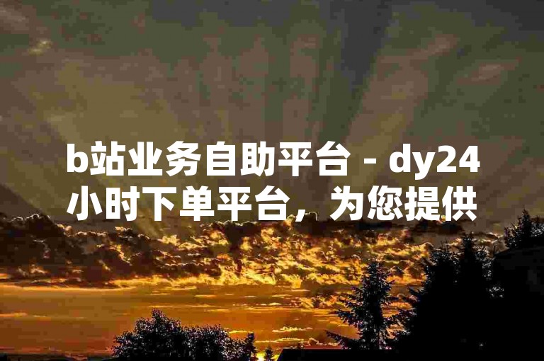 b站业务自助平台 - dy24小时下单平台，为您提供便捷的在线服务。