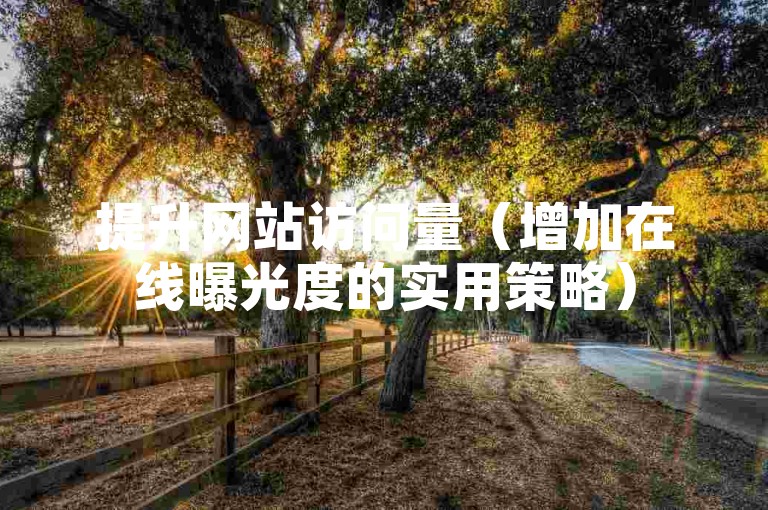 提升网站访问量（增加在线曝光度的实用策略）