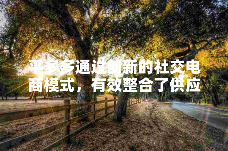 平多多通过创新的社交电商模式，有效整合了供应链资源，极大地提升了用户购物体验，从而助力拼多多在激烈的市场竞争中脱颖而出，成功走向行业领先地位。