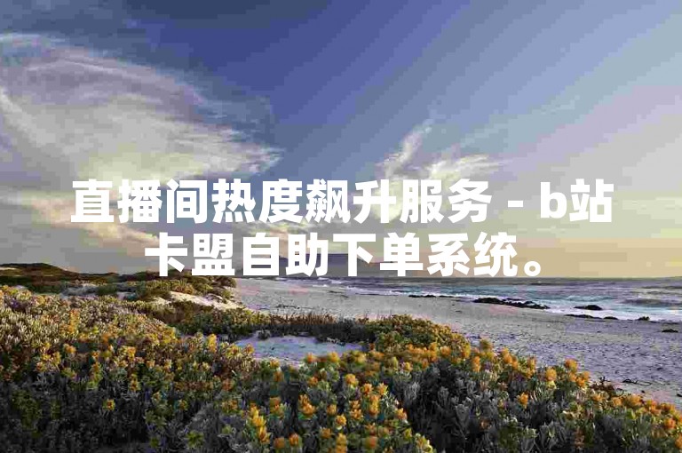 直播间热度飙升服务 - b站卡盟自助下单系统。