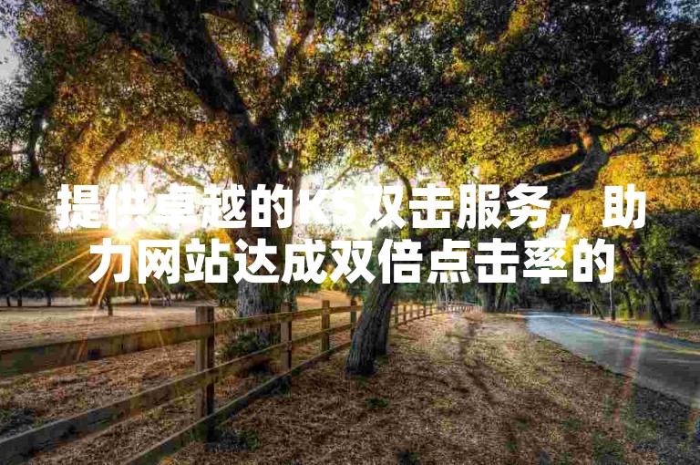 提供卓越的KS双击服务，助力网站达成双倍点击率的优选方案。
