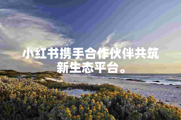 小红书携手合作伙伴共筑新生态平台。