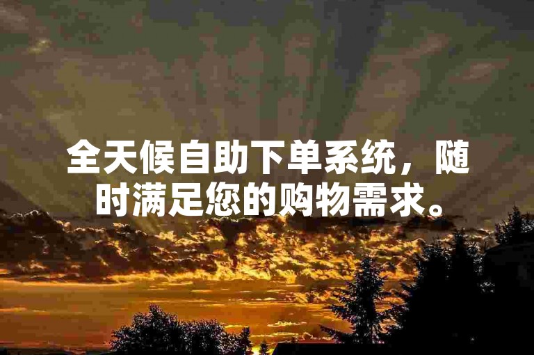 全天候自助下单系统，随时满足您的购物需求。