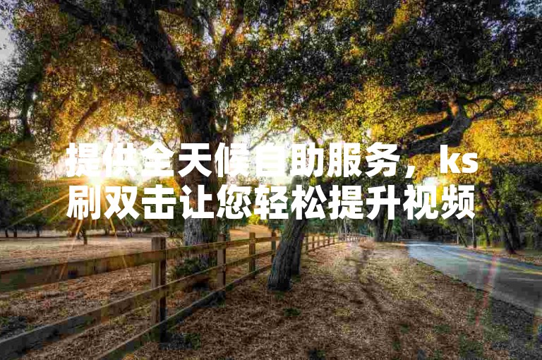 提供全天候自助服务，ks刷双击让您轻松提升视频热度。
