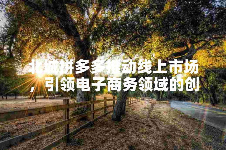北城拼多多推动线上市场，引领电子商务领域的创新潮流。