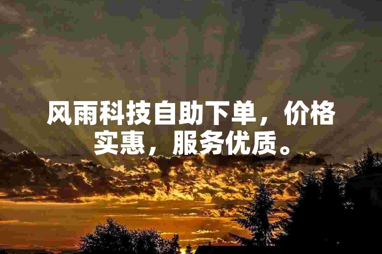 风雨科技自助下单，价格实惠，服务优质。